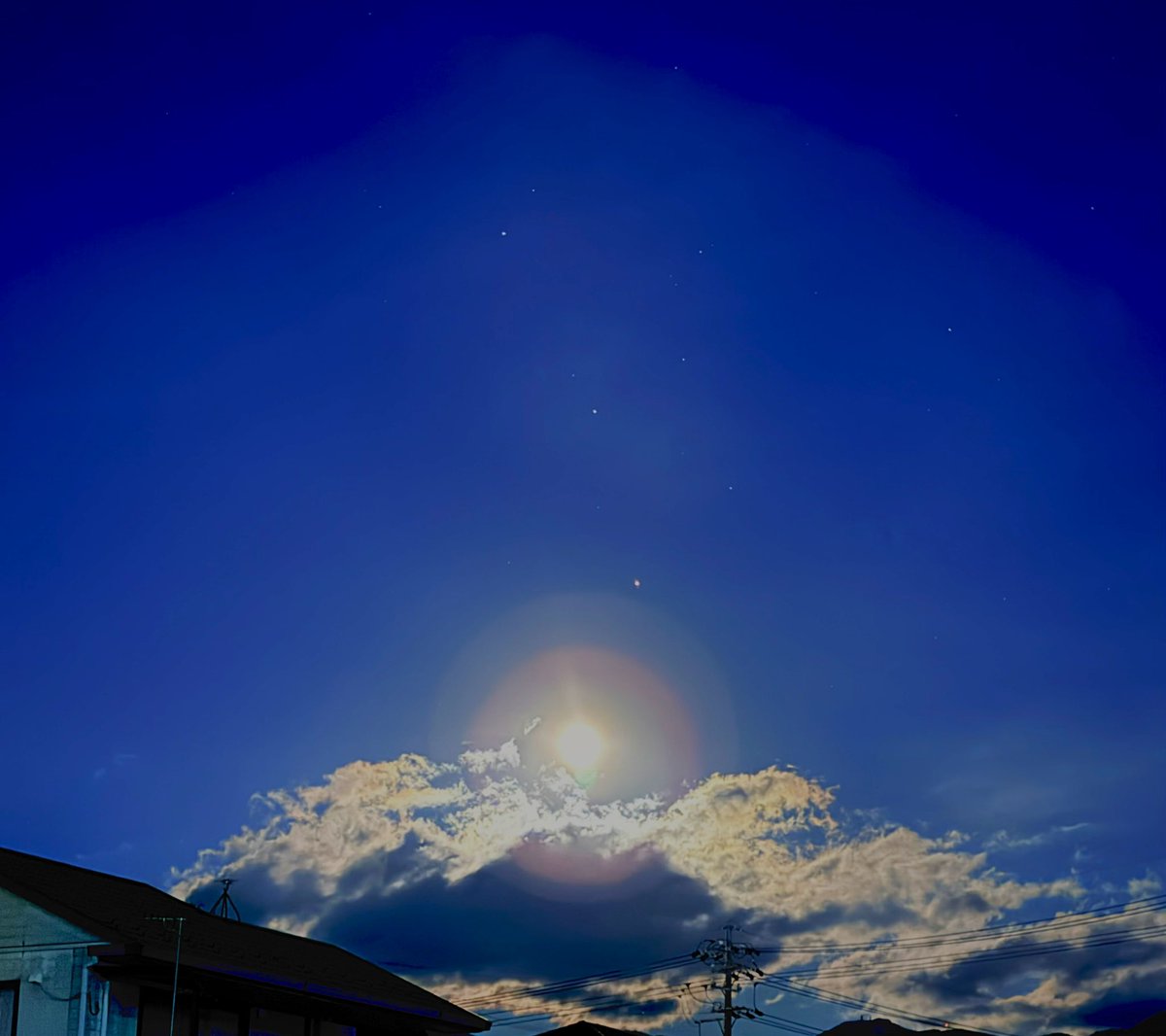 KUKURI✩🔮🪄︎︎✨ tweet media