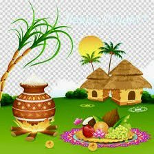 MVRaoIPS's tweet photo. Wishing peace,prosperity ,health and happiness to all the hardworking people of our great country on the auspicious occasion of harvesting festival #MakaraSankranti celebrated across India🙏. 
#Bihu
#Pongal 
#Uttarayan 
#Poush 
#Lohri https://t.co/MbmCHcaPZE