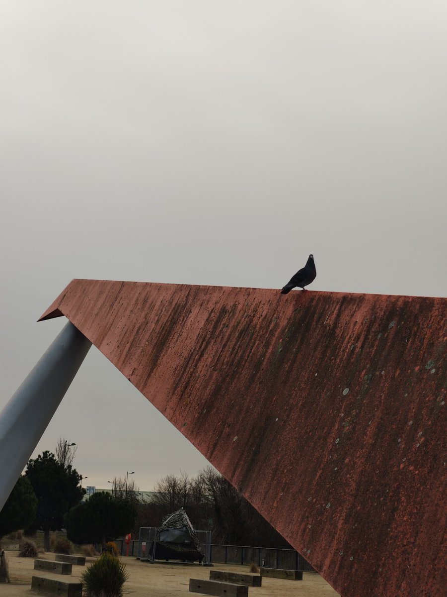 Dear <a href="/cardiffcouncil/">Cardiff Council</a>, please clean the Origami Bridge in Cardiff Bay. It's been like this for years...
14.01.25

#DirtyCity
#Cardiff
#embarrassment