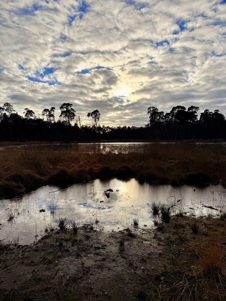 Frank Jongejan 🗽 (@frankjongejan) on Twitter photo 