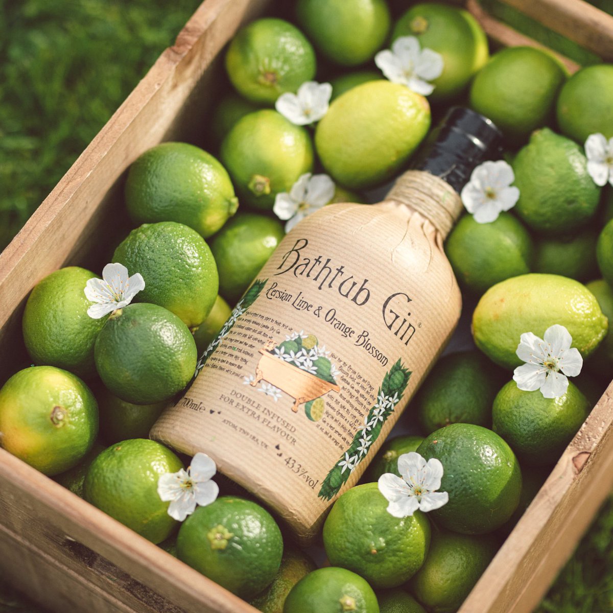🚨🚨NEW PRODUCT ALERT🚨🚨

Fresh delivery of the new addition <a href="/BathtubGin/">Bathtub Gin</a> Persian Lime and Orange Blossom 🍊🌸

Grab yours now ⬇️

distillersdirect.com/products/batht…

#bathtub #bathtubgin #lime #orangeblossom #gin #alcohol #distillersdirect
