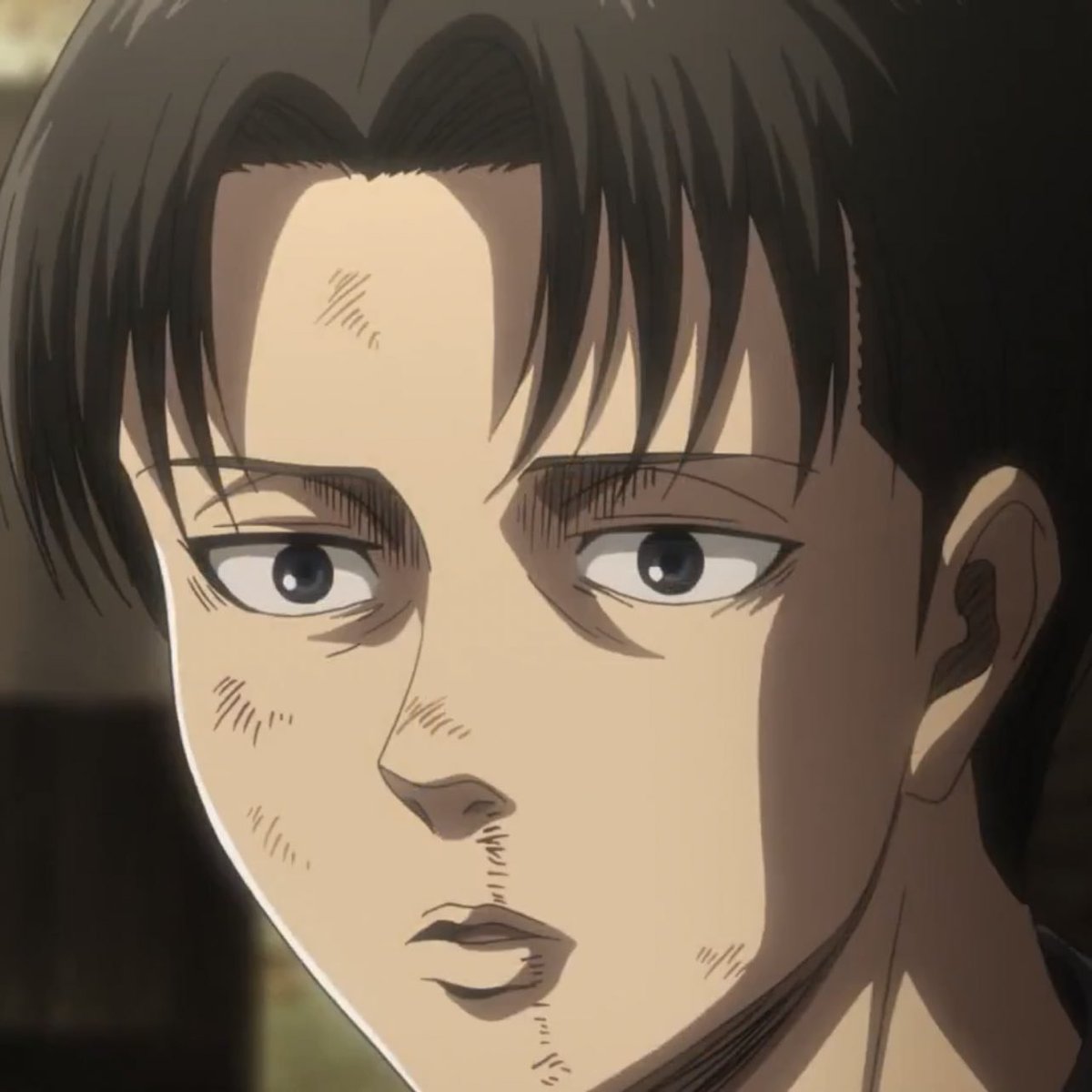 levi content tweet media