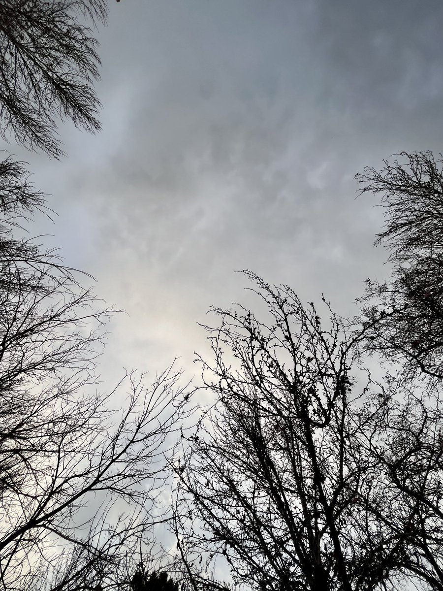 #ShotOniPhone #StreetPhotography  
#AbstractArt #Winter #Life #Trees