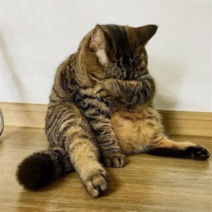 A1P4CA's tweet image. なんかあった？？