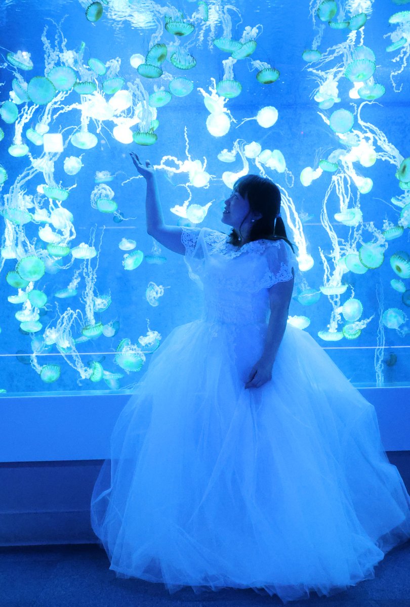 hiro_ykyk's tweet photo. ✨ At the aquarium ✨
Model mayumin さん
@mayu06121012
mayuminさん念願のウェディングドレスで 新江ノ島水族館で撮影させて頂きました。
#新江ノ島水族館
#enosui_com
#えのすい
#水族館
#aquarium
#クラゲ
#くらげ https://t.co/lFG6N3NXCG