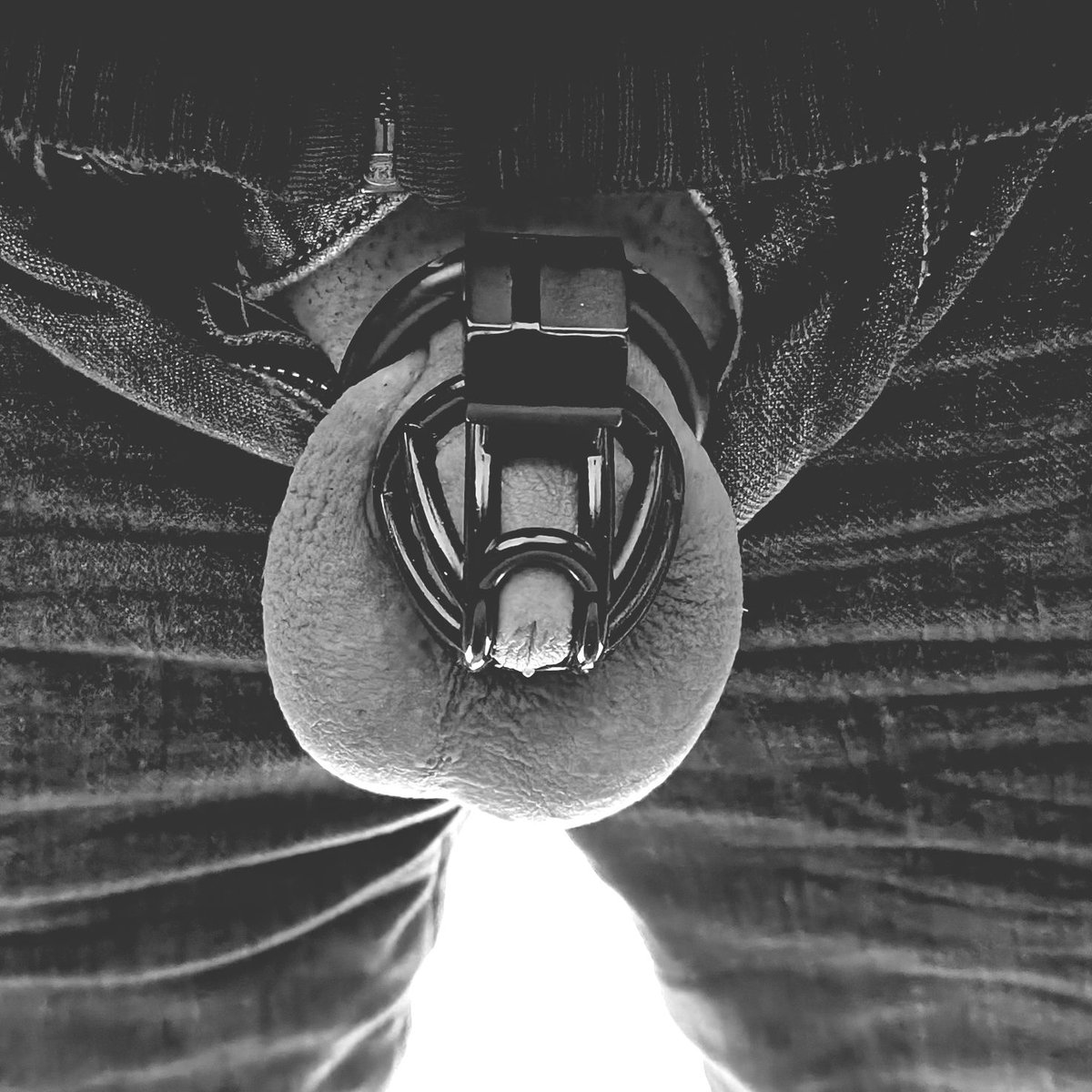 acidelock's tweet photo. #chastitygame #chastity #tinycage #chastitydevice #chastitycage
#frenum #slave #locked

J-15 🚫💦 -🔒 https://t.co/rOShsyGYQ2