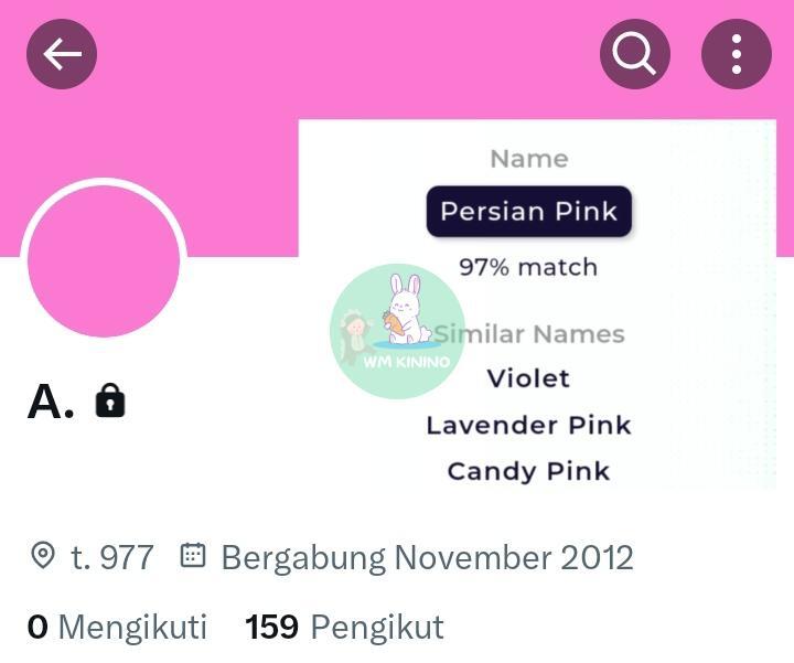 kinci dino! tweet media