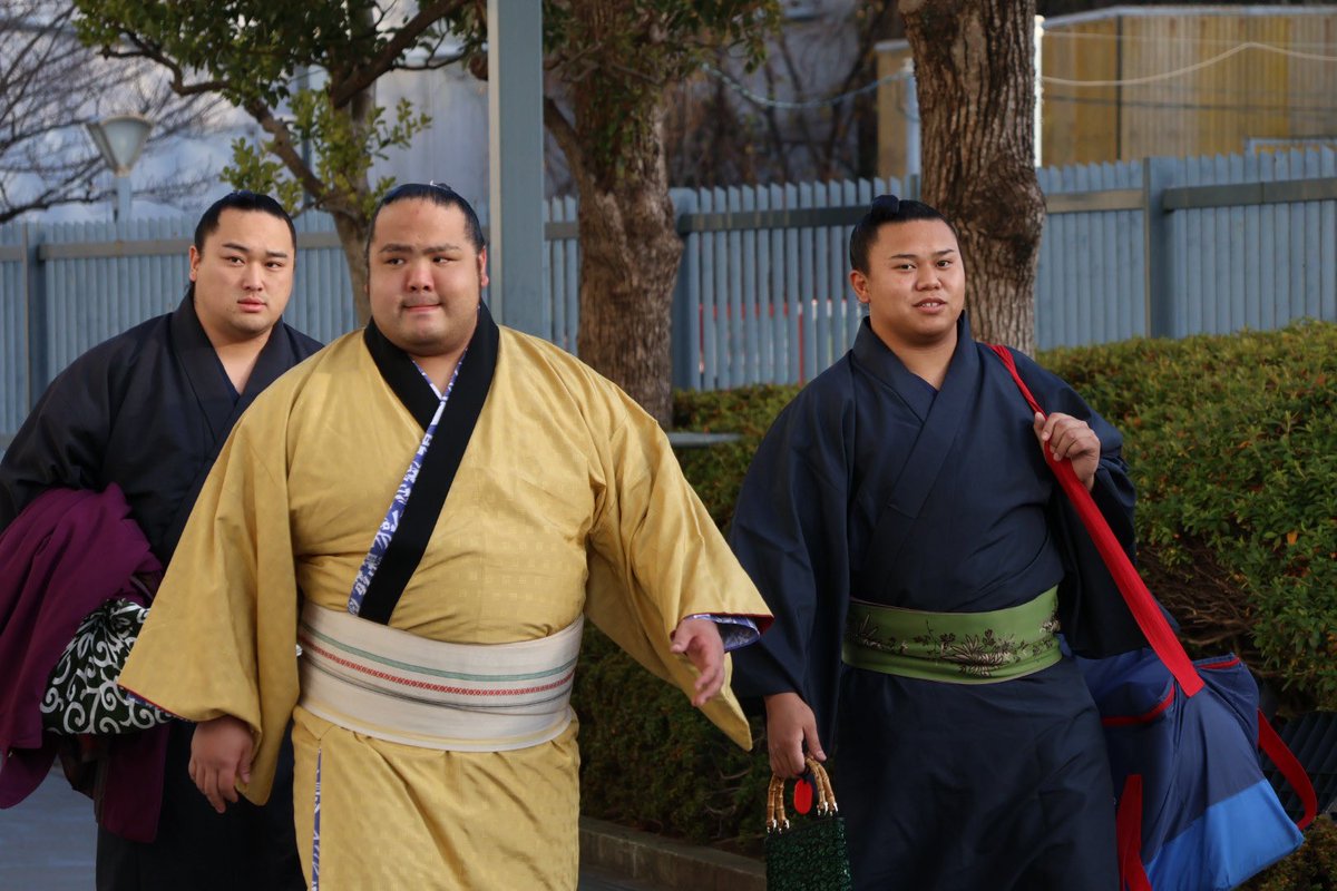 q_q20pp's tweet photo. 初場所 三日目
放駒部屋 島津海関！
付け人は松蘭さんと鳴戸部屋の川村さん！
#放駒部屋 #島津海 #松蘭 #鳴戸部屋 #川村 #sumo https://t.co/phdH08ikmM