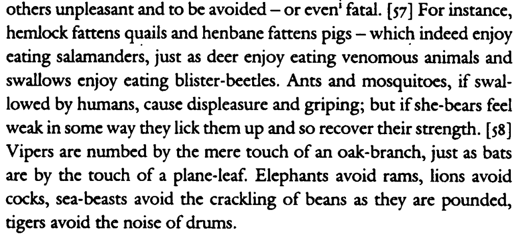 saturnalreturn's tweet photo. [in a tone that implies mutual understanding] it's like how sea-beasts avoid the crackling of beans as they are pounded https://t.co/g6gRKUgMw3