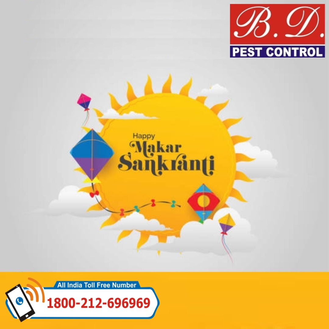 bdpcindia's tweet image. Patang ki dor se lekar dhol ke sur tak,
Pongal ki mithaas se Lohri ki garma-garam vibes tak,
India ka harvest season hai ek festival of gratitude, jahan jude har koi. Makar Sankranti ki hardik shubhkamnaye!
#Makarsankranti #Pest_Control #Home_Pest_Control #Pest_Control_Service