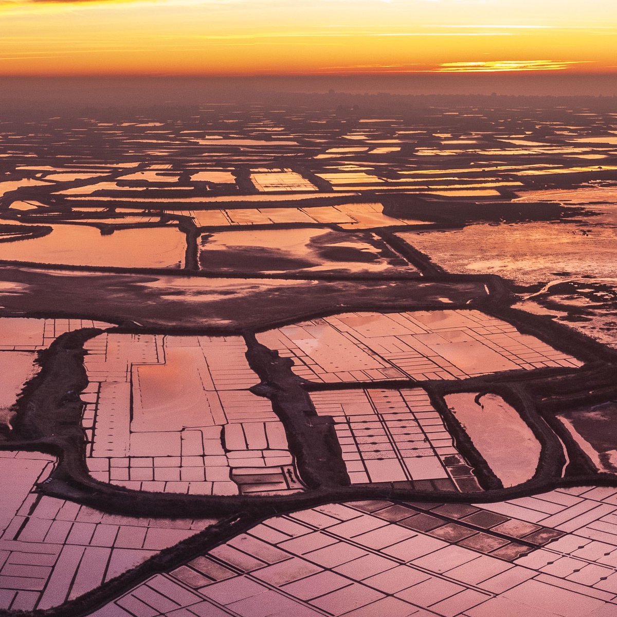 Valéry joncheray tweet media