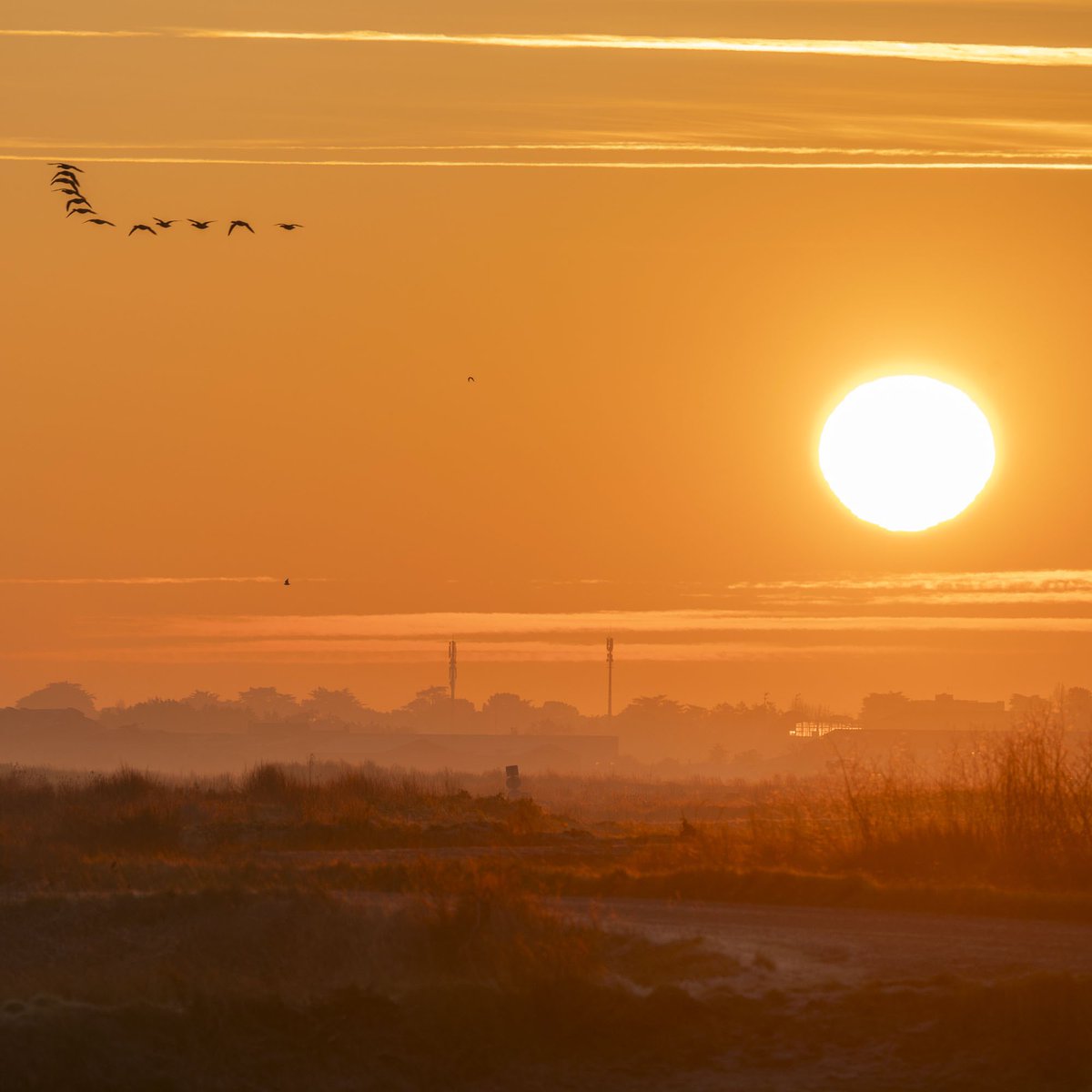 Lever de soleil ce matin dans les marais salants de Guerande. Glacial, mystique, magique.