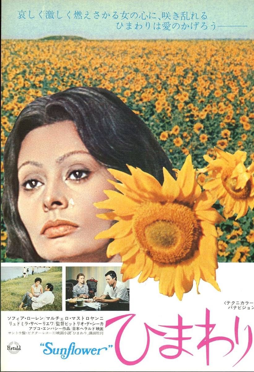ヴィットリオ・デ・シーカ監督作品　ひまわり　マルチェロ・マストロヤンニ 映画『ひまわり』 ヴィットリオ・デ・シーカ監督作品。 - YouTube