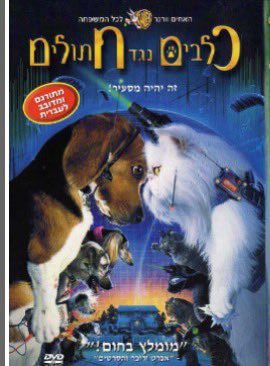 מי ניצח בסוף חח