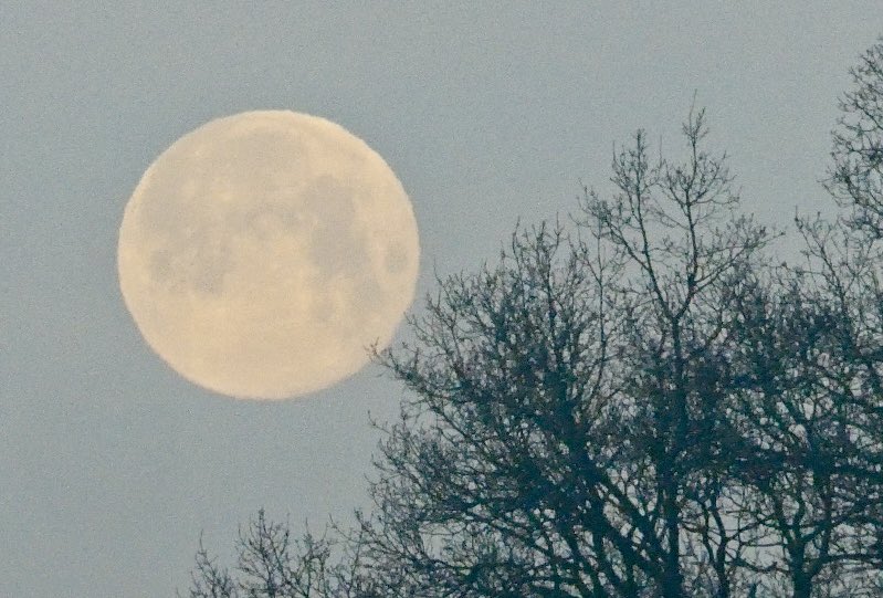 BeckyjoeWells's tweet photo. @BBCSussex stunning sunrise and setting of the Wolf Moon this morning over the @weyandarun Loxwood. https://t.co/wBjK17jtDO