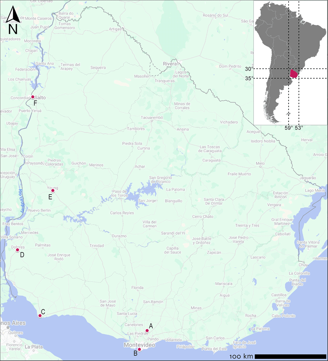 🆕📢New paper alert!
"The Megafauna 3D #Dataset: #3DModels of Late #Pleistocene Megafauna Fossils From Uruguay🇺🇾" by Luciano Varela and colleagues: tinyurl.com/v5r5sjch

#Archaeology #OpenScience #OpenAccess #datapapers