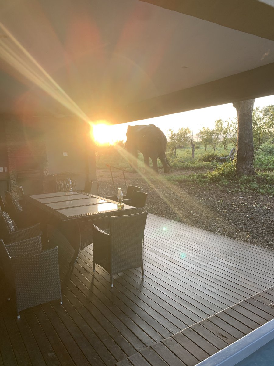 Katherine Sproule tweet media