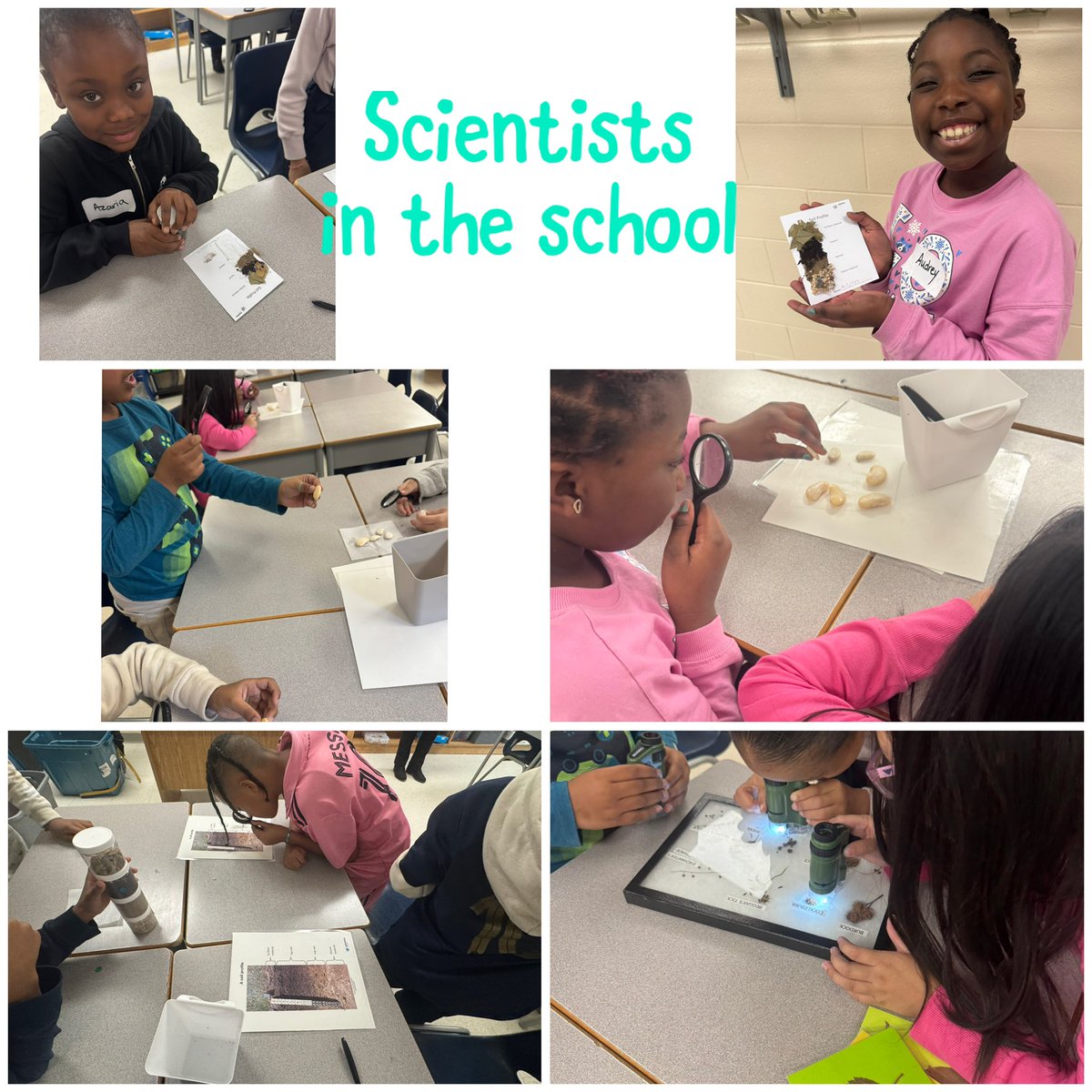 Ms. Silva (@reachliz83) on Twitter photo Thanks to <a href="/Sci_in_School/">Scientists in School</a> for teaching us more about plants and soil <a href="/StKevinDPCDSB/">St. Kevin Catholic Elementary School</a> <a href="/DPCDSBSchools/">Dufferin-Peel Catholic District School Board</a> Thanks to <a href="/Sci_in_School/">Scientists in School</a> for teaching us more about plants and soil <a href="/StKevinDPCDSB/">St. Kevin Catholic Elementary School</a> <a href="/DPCDSBSchools/">Dufferin-Peel Catholic District School Board</a>
