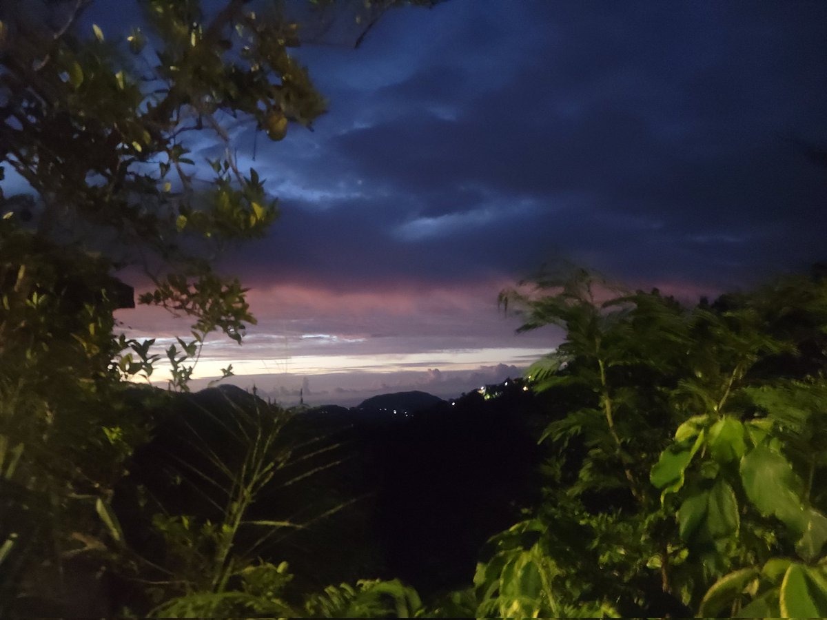 djmillerJA's tweet image. Rising with the sun!
#TuesdayScenes
@jahmekyagyal