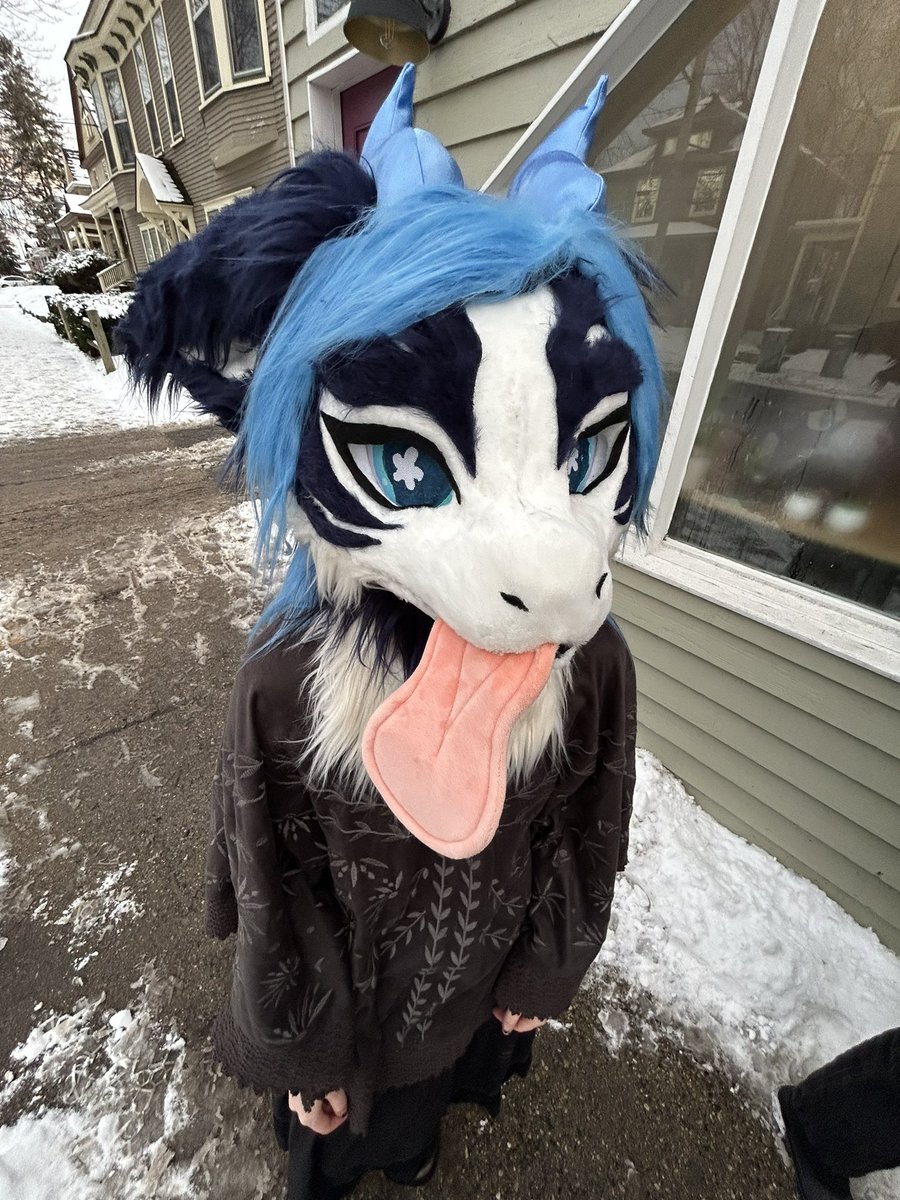 cryophor_'s tweet image. Bleh 
📸: @fysheii_ 
#furry #fursuit