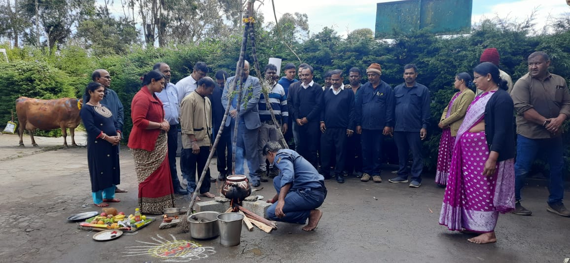 monarchooty's tweet photo. Happy Pongal from The Monarch 🌾

Celebrating the harvest with tradition, joy, and the aroma of freshly cooked Pongal over a wood fire.

Here’s to the blessings of abundance, happiness, and good fortune for all! 💛

#PongalCelebrations #TheMonarch #HarvestFestival #OotyDiaries https://t.co/Dh1L6ihFxw