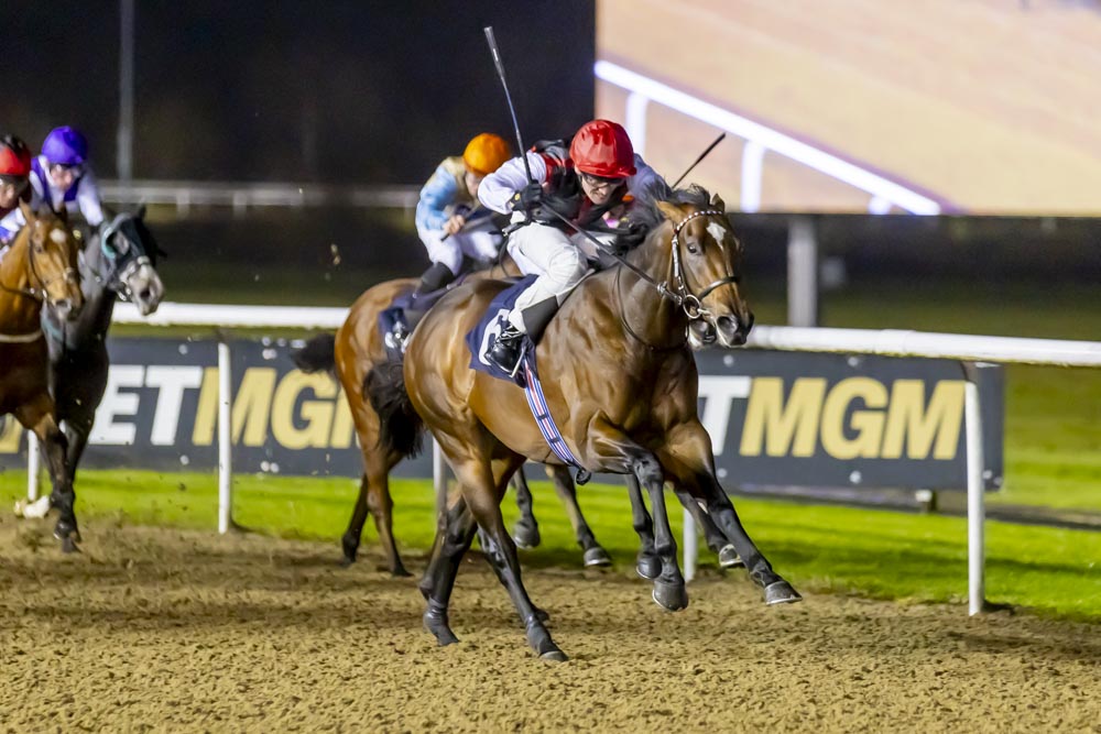 AWChampionships (@awchamps) on Twitter photo <a href="/awchamps/">AWChampionships</a> weekly wrap:
🚜 Finals Day target for Carbine Harvester after latest win
3⃣ Midnight Lion and Tadreeb also bring up three-timers
⚓️ Treasure Fleet impresses on <a href="/WolvesRaces/">Wolverhampton Races</a> debut
Read more 👉 bit.ly/4afUXnW <a href="/awchamps/">AWChampionships</a> weekly wrap:
🚜 Finals Day target for Carbine Harvester after latest win
3⃣ Midnight Lion and Tadreeb also bring up three-timers
⚓️ Treasure Fleet impresses on <a href="/WolvesRaces/">Wolverhampton Races</a> debut
Read more 👉 bit.ly/4afUXnW