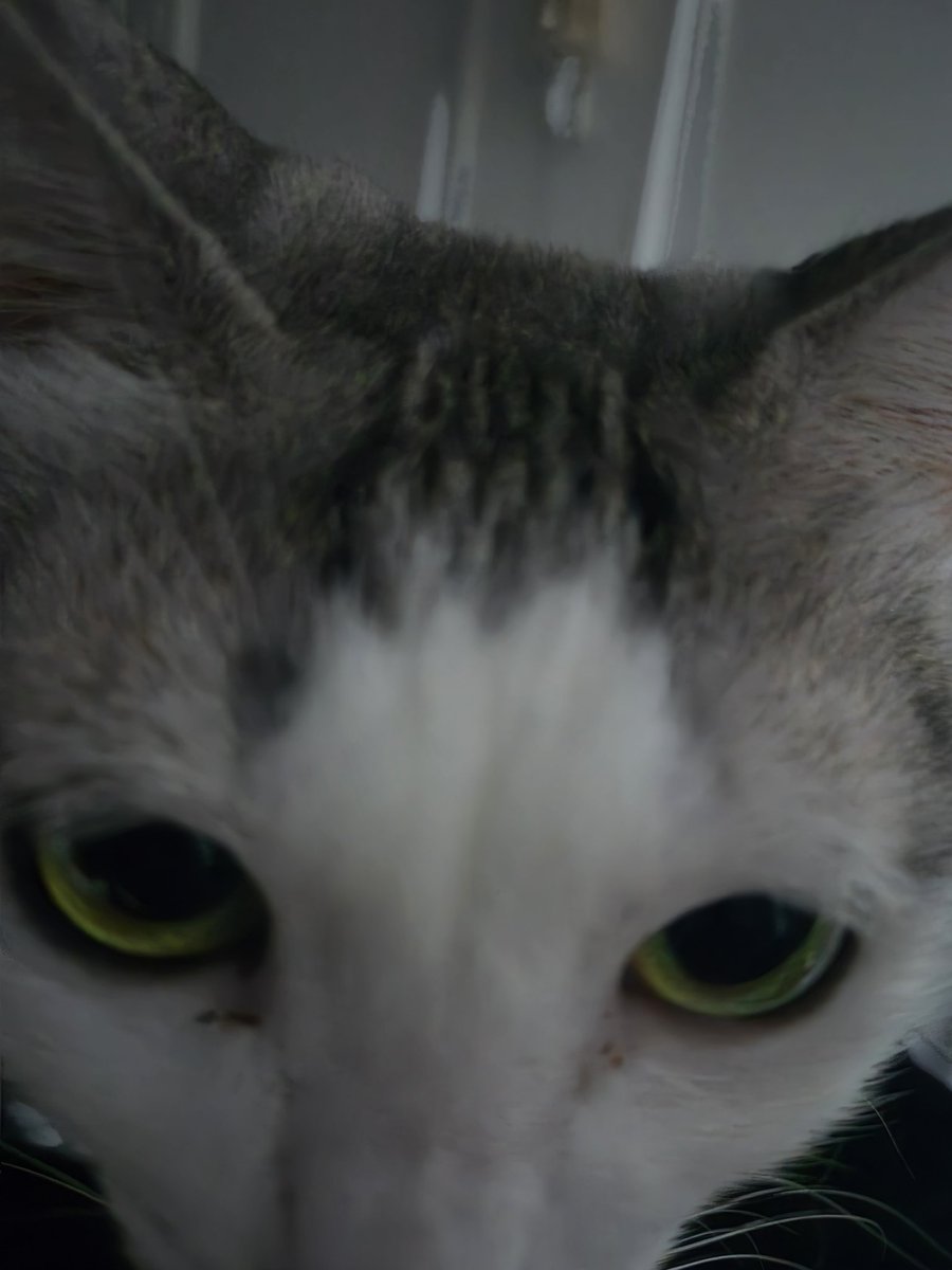 <a href="/appl3OvO/">능금</a>