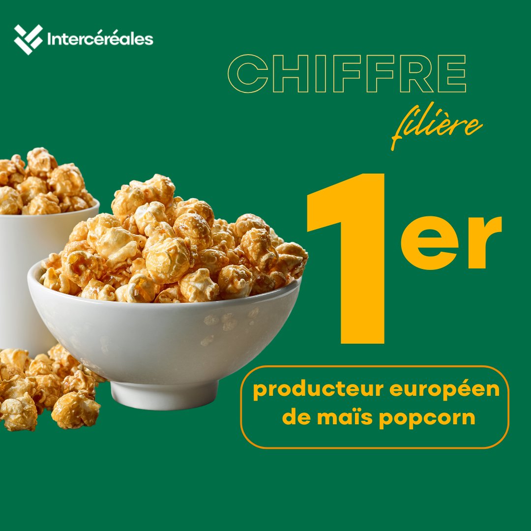 intercereales's tweet photo. 🎉🍿 Journée mondiale du popcorn 🍿🎉
Saviez-vous que la 🇫🇷 est le 1er producteur européen de maïs popcorn ? 🌽
🔎 Chiffres clés :
➡️8 820 ha cultivés
➡️400 producteurs (Charente-Maritime, Gers)
➡️Export en Europe
👏 Célébrons une filière 🇫🇷innovante et durable !
#Popcorn #AgricultureFrançaise #JournéeMondialeDuPopcorn