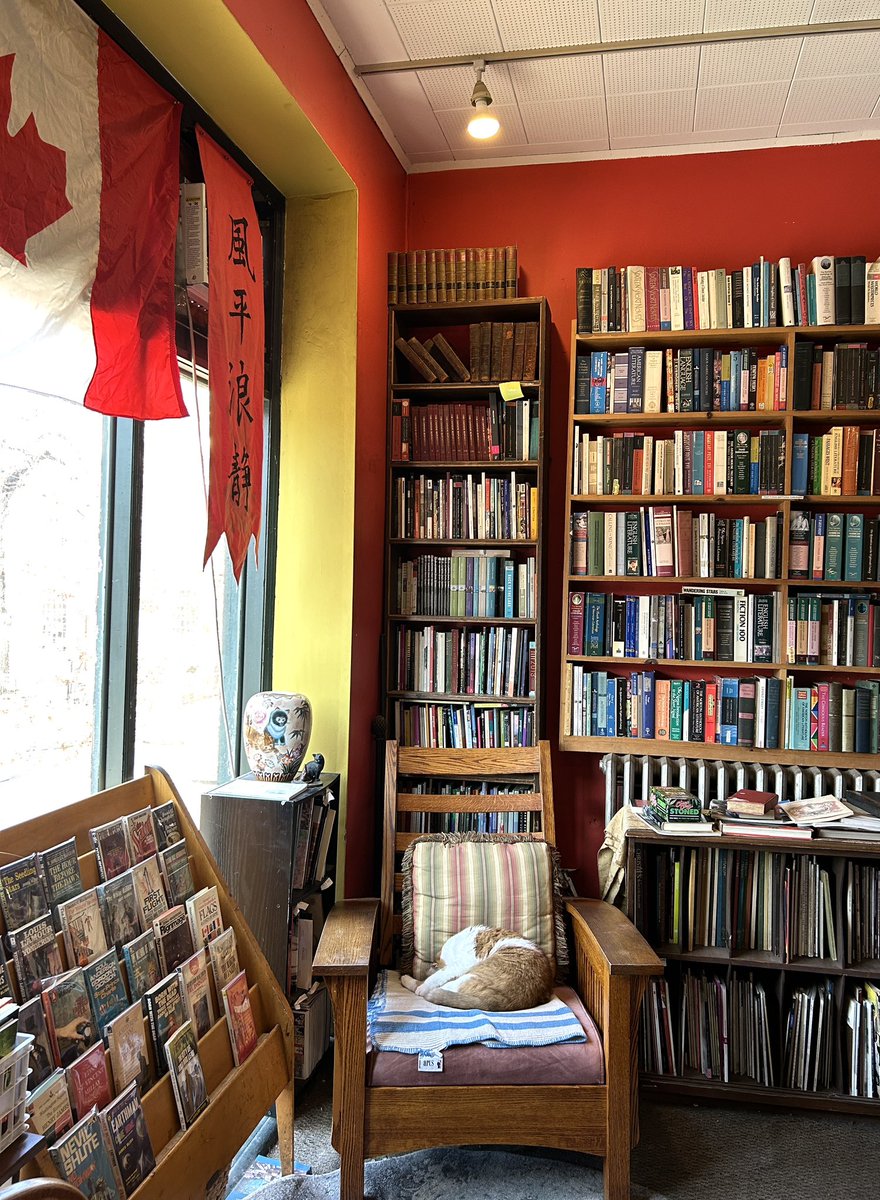 obligatraveler's tweet photo. Favorite #bookstore in #Philadelphia , The Book Trader and my favorite #bookstorecat , Dr. Pickles https://t.co/fbSES2Ps1H