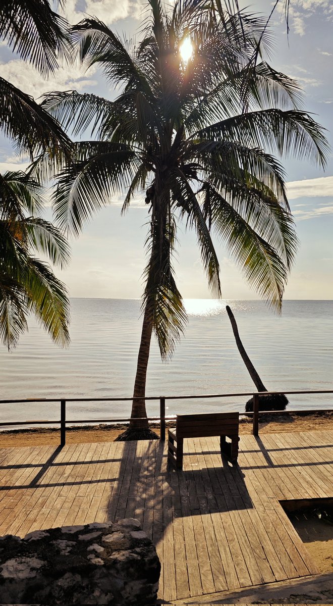 Buen día excelente martes 
<a href="/DeViajeXMexico/">Viaja X México</a> <a href="/VisitandoCancun/">#VisitandoCancun</a> <a href="/VivoEnCancun/">Vivo en Cancún 🏖️</a> <a href="/VivoEnIslaM/">Vivo en Isla Mujeres</a> <a href="/VivoEnPlayaDC/">Vivo en Playa del Carmen</a> <a href="/VivoEnPtMorelos/">Vivo en Puerto Morelos</a>