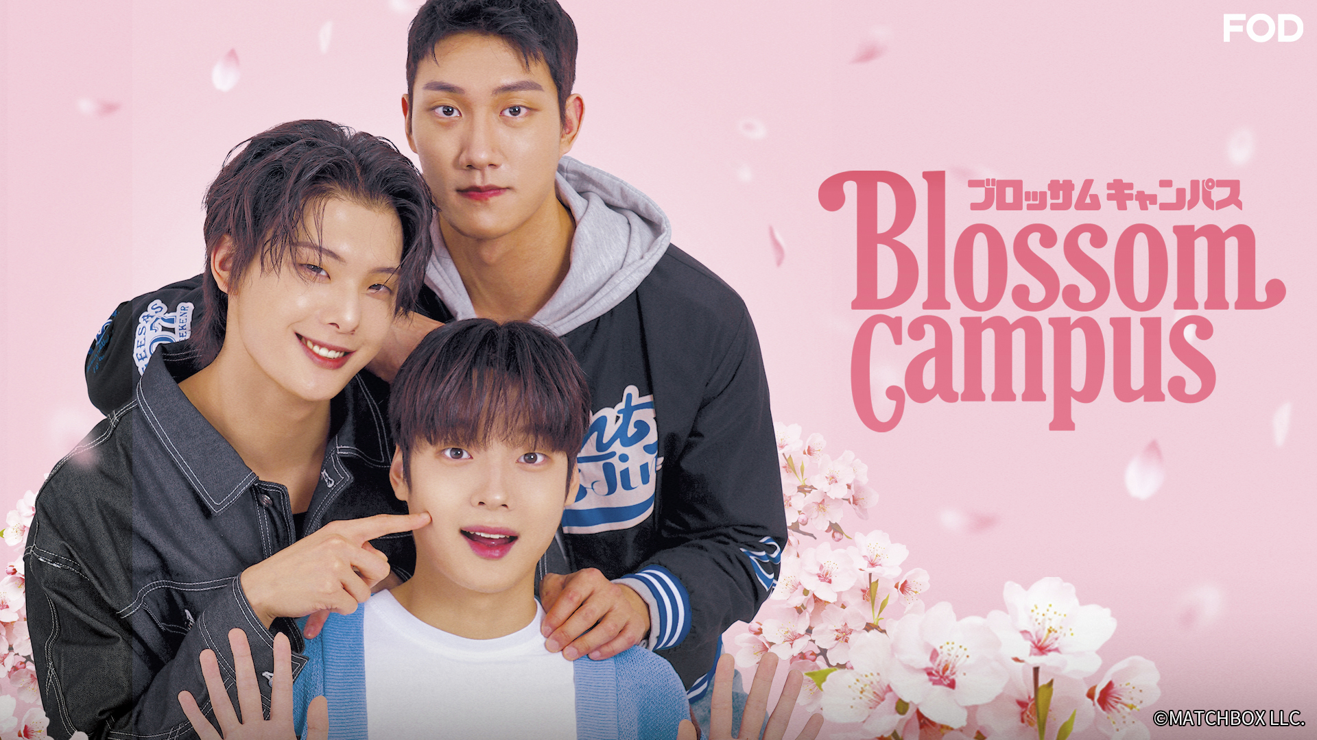 韓国BL 不可抗力な恋愛事情 キャンバスフレーム 韓国 コミック グッズ『不可抗力な恋愛事情 The Sセット