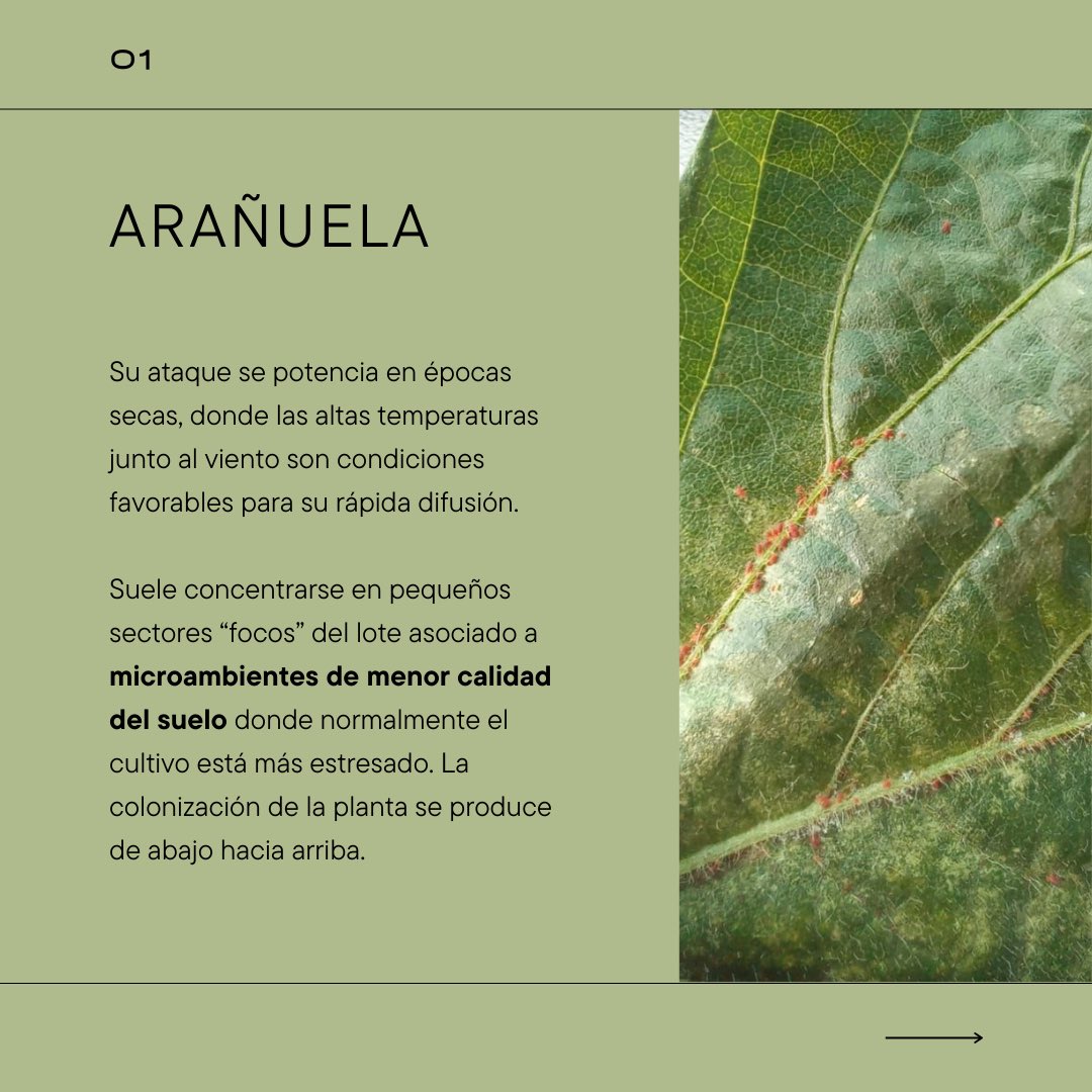 ProyectAgro tweet media