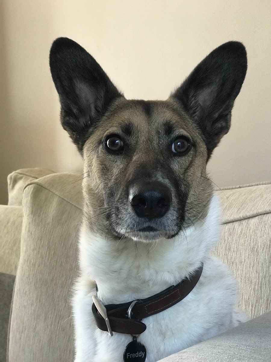 Kathryn Harrison tweet media