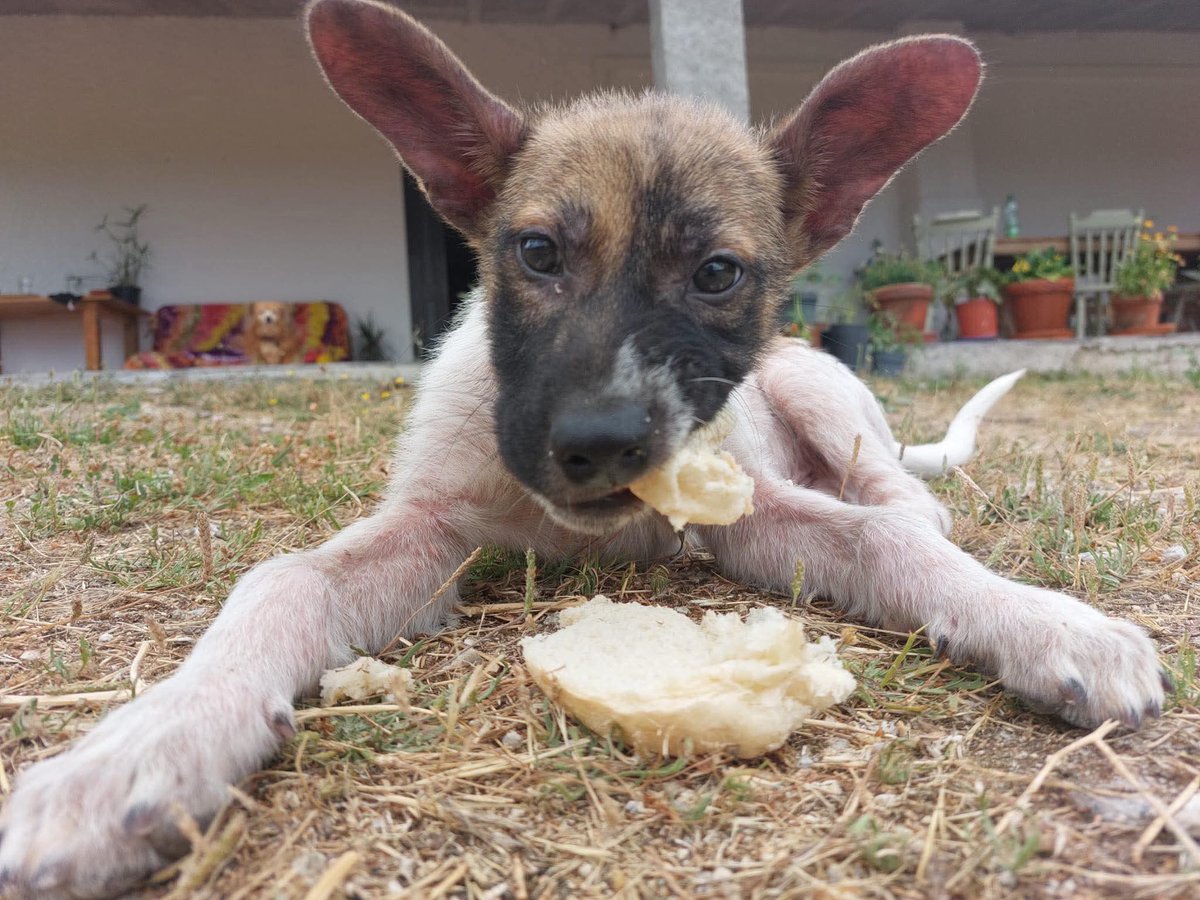 Kathryn Harrison tweet media