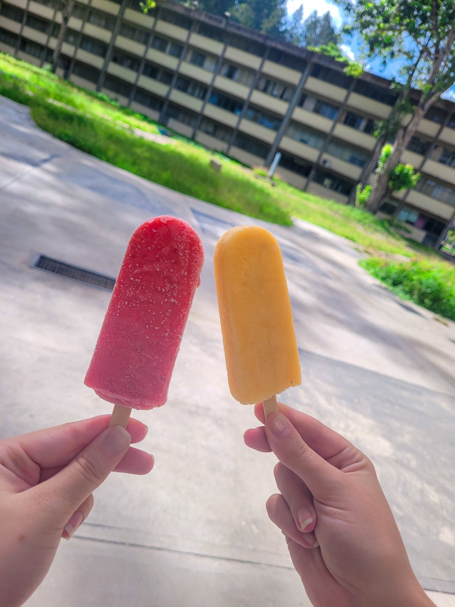 kimmsbguerrero's tweet image. Amix! @kimheladitos está  de vuelta a la USB con una super promoción especial. Todo nuestro menú se encuentra en mega descuento, puedes venir por los tuyos a MyS pb a la derecha en el @MAC_USBve 

Solo disponible hasta el viernes de semana 1 💕⚠️