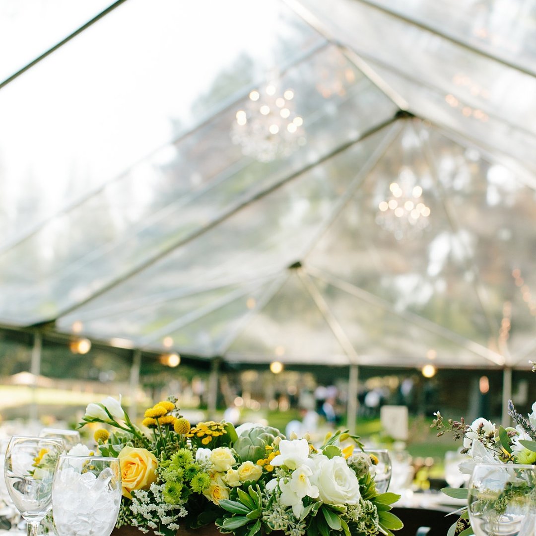 CamelotParties's tweet image. From whimsical weddings to corporate gatherings, our structures are ready for your guests.  Check out our Liri and Tectrac structures to entertain in style and comfort!. Let us set the stage for your perfect event
camelotpartyrentals.com/product-catego…
 
#OutdoorEvents #TentRentals #PartyIn ...