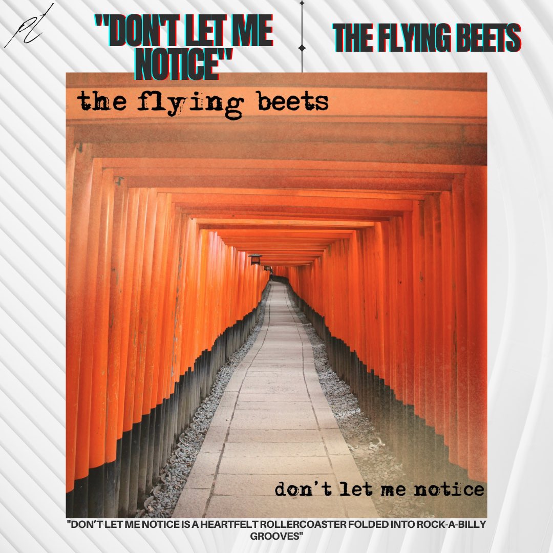 project timbre tweet media