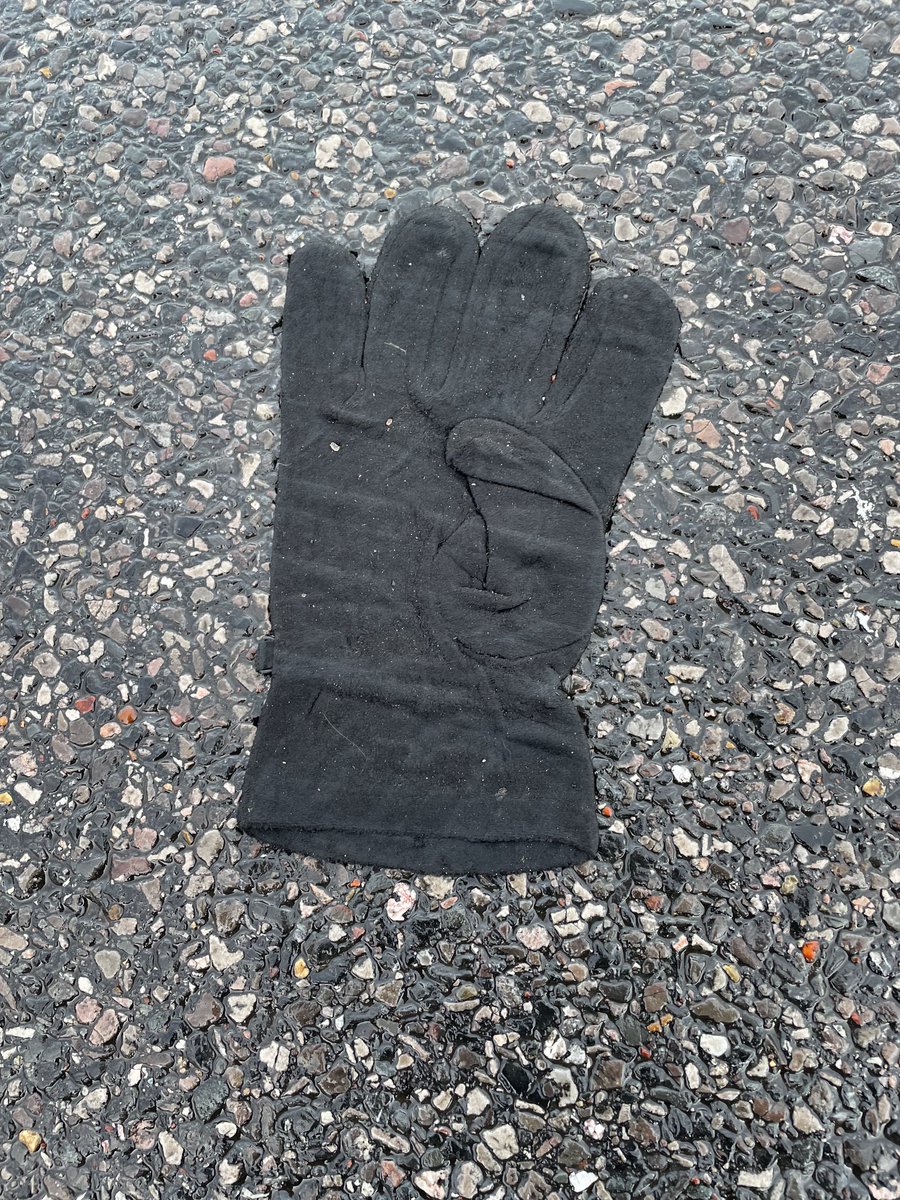 ⁦<a href="/singleglove/">lostglove</a>⁩ ⁦<a href="/AldiUK/">Aldi Stores UK</a>⁩ #Eastbourne