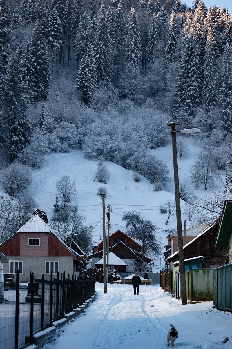 Bradley Stafford tweet media