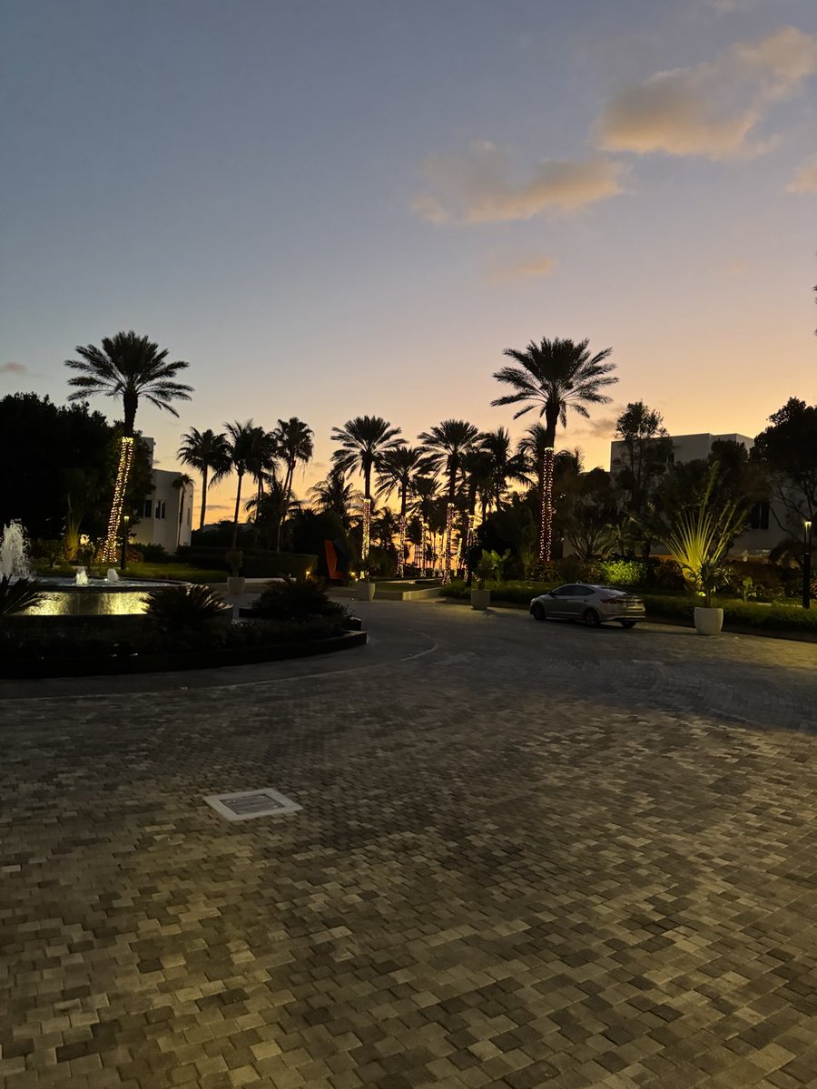 scottobias's tweet image. Beautiful morning!