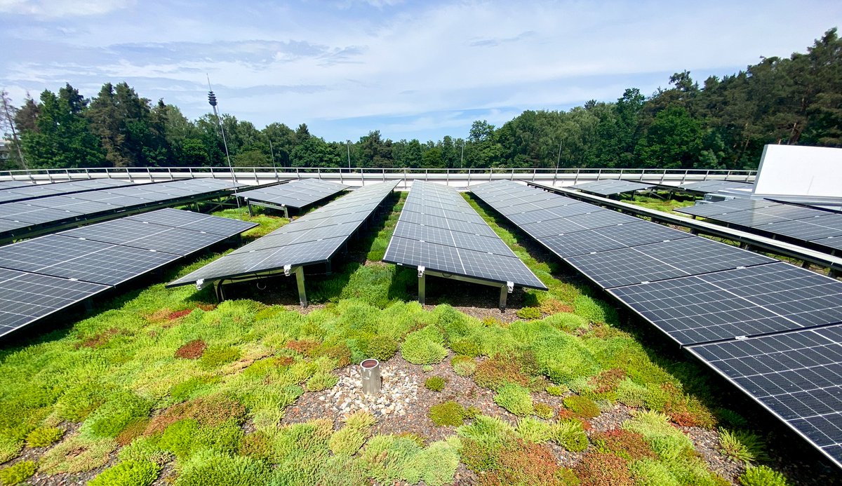 Optigrun's tweet photo. Do you want to combine the benefits of a green roof and solar? We can provide technical support and quotes as well as recommend approved Optigrun contractors to install.
Visit our website to find out more: https://t.co/POjwlJ1Q7h
#greenroof #biosolar #urbangreening https://t.co/MEyv25Dq7D