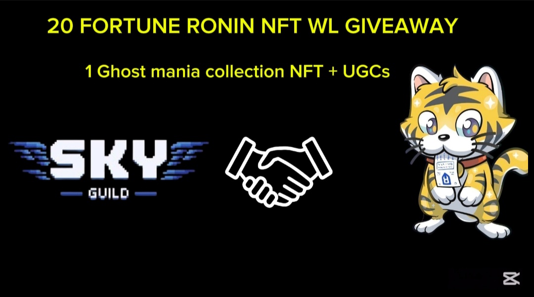 SKY GUILD tweet media