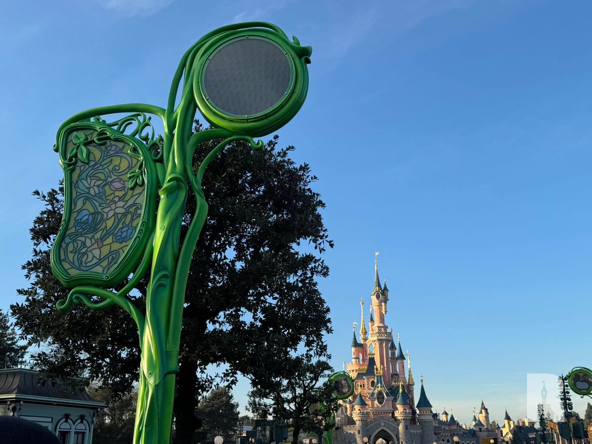 DLP Report tweet media
