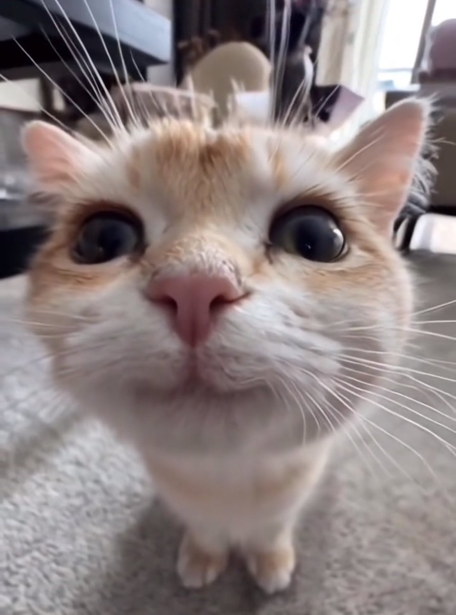 黄推福利内容 - 直至死亡将我们分开的精彩图片 福利姬直至死亡将我们分开分享的黄推图片4 - 网红私拍内容