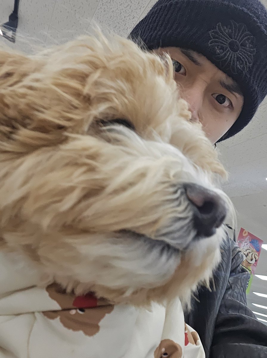 CYJBrasil's tweet image. FOFURA 🥹 DM do Yeonjun no Weverse 🦊💬 - (14/01/2025) 

🦊: Oi, S/N, gracinha
🦊: Vou te dar um resumo do meu dia de hoje
🦊: Eu e minha mãe viemos para um lugar em uma viagem e minha prima mora aqui perto, então estamos na casa dela agora
🦊: Nós três vamos dar uma volta juntos…