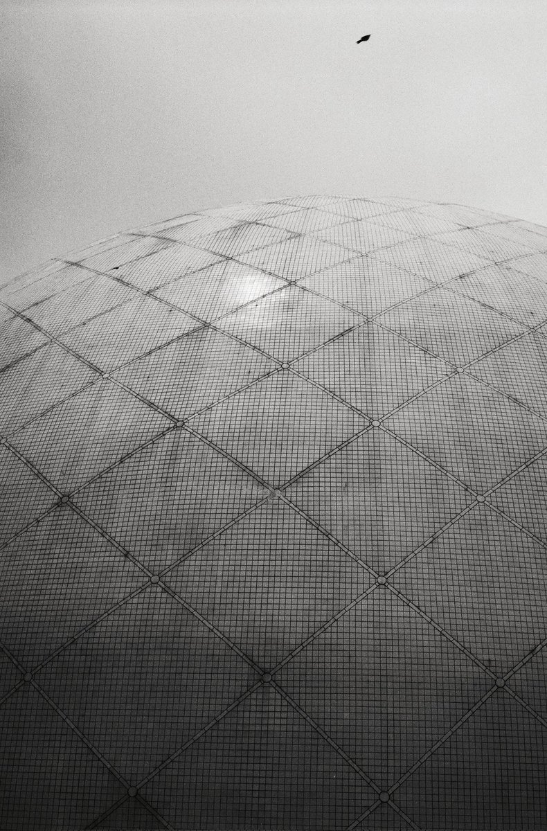 vyvpoon's tweet photo. Hong Kong
Tsim Sha Tsui

#photograghy 
#filmphotography 
#blackandwhitephotography https://t.co/mk6XL2G9d7