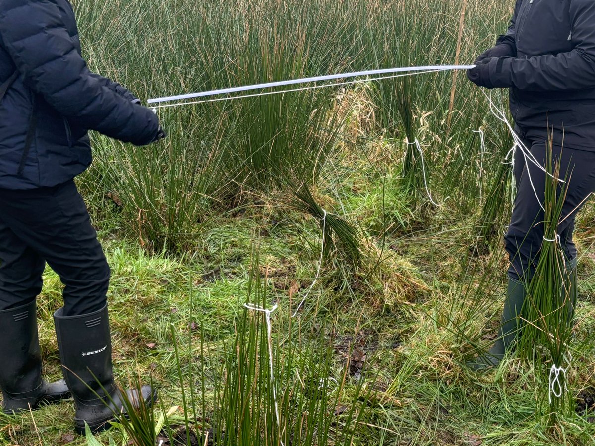 LadybridgeHigh's tweet photo. A 'Mapping without Technology' visit to @WWTMartinMere yesterday provided lots of opportunities for our Year 9 learners to apply complex #maths to real world situations, whilst enjoying the #wetlands and #wildlife 🦩 #LadybridgeLearners #outdoorlearning #conservation #martinmere https://t.co/WF4nOLpjWr
