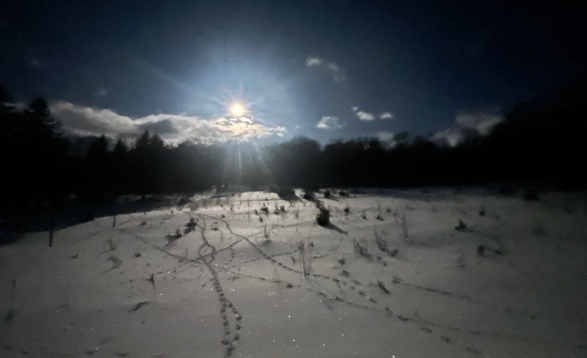 Anson Tebbetts tweet media