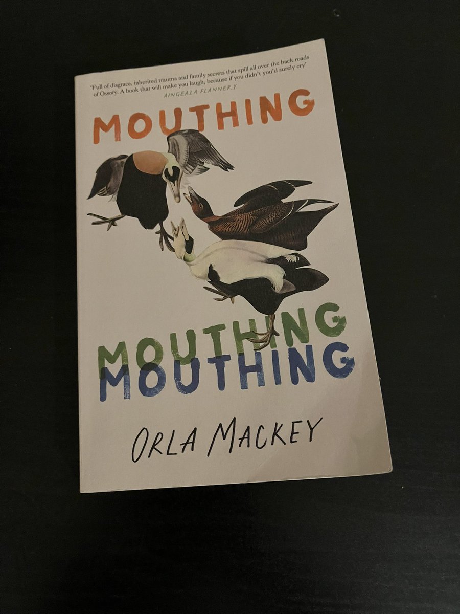 Mouthing by <a href="/orlamackey/">Orla Mackey</a> is Irish story telling at its very best! Well worth a read.