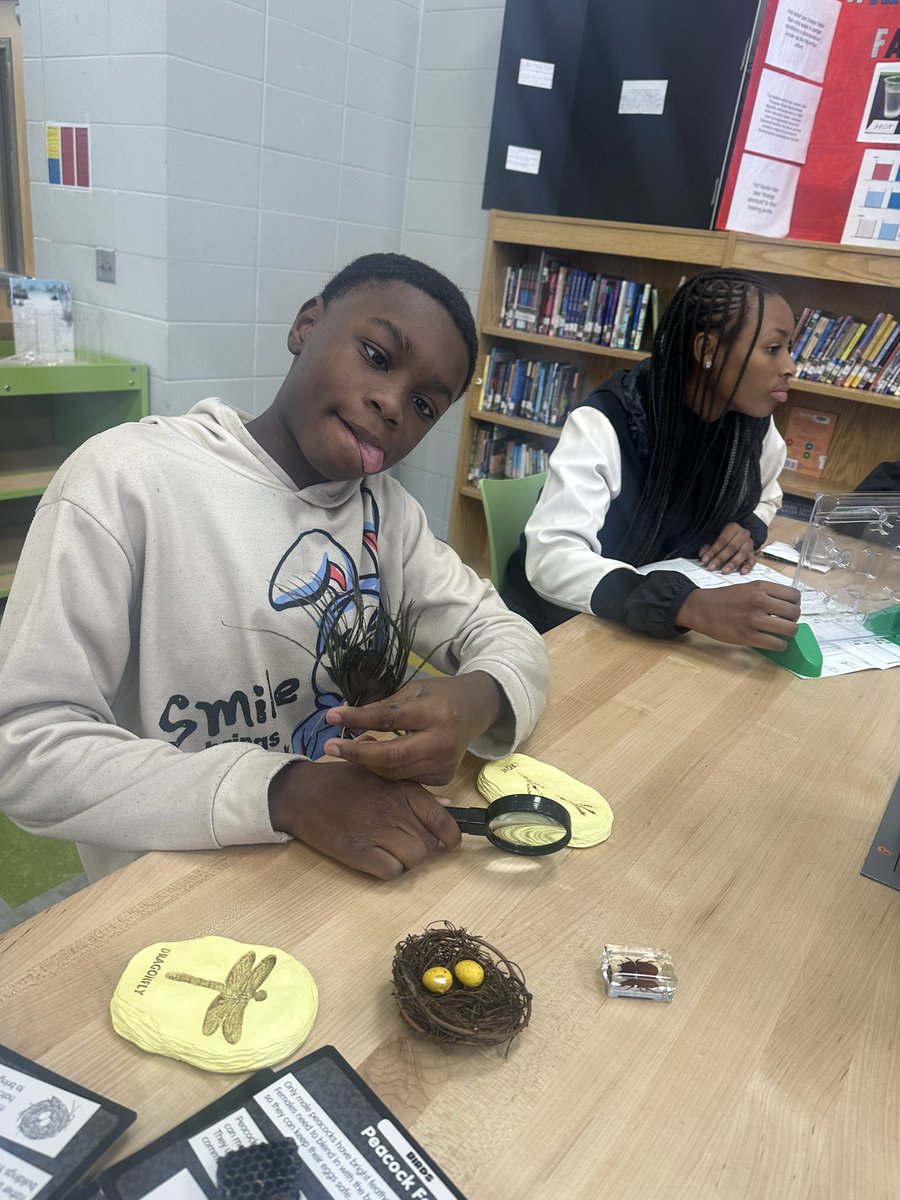 Thank you <a href="/DonorsChoose/">DonorsChoose</a> for bringing hands-on science to life in our library! Our students are discovering the wonders of plant growth and insect life cycles through these incredible STEM materials. Their curiosity and excitement is growing every day! 🌱🔬 #DonorsChoose #STEM